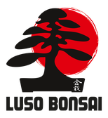 Luso Bonsai