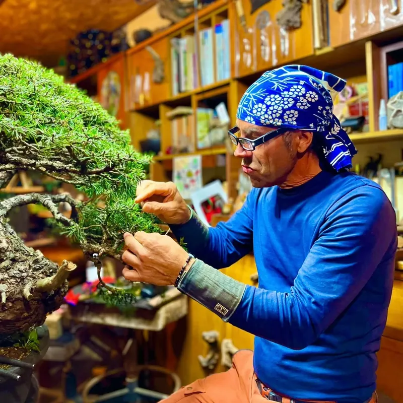 Carlos Brandão wiring a juniper bonsai in his workshop