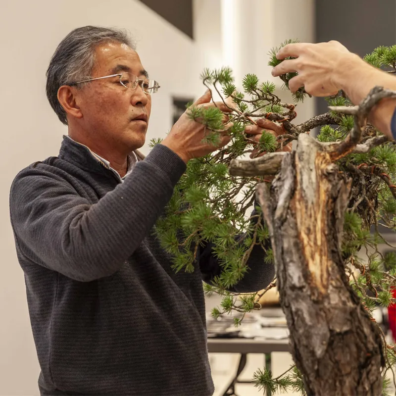 Chiharu Imai styling a pine during a demonstration