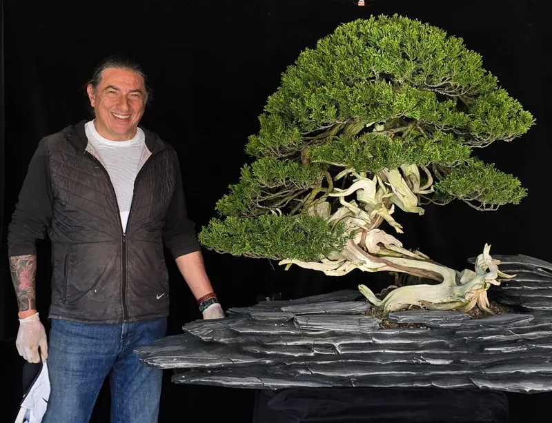 Jorge Campos beside a juniper bonsai planted on stone