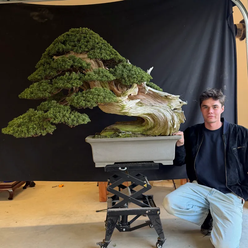 Theo J. Zimmer beside a juniper bonsai